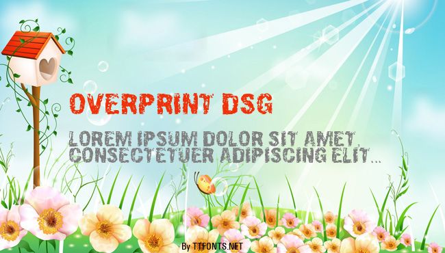 Overprint DSG example