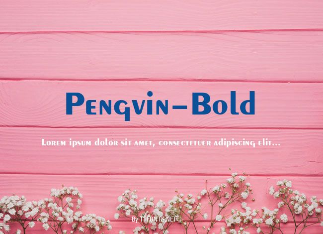 Pengvin-Bold example