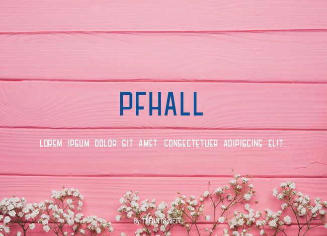 PFHALL example