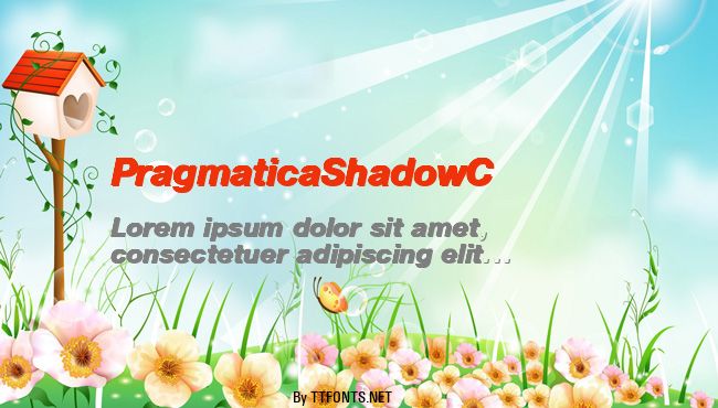 PragmaticaShadowC example