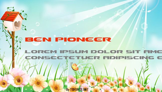 Ben Pioneer example