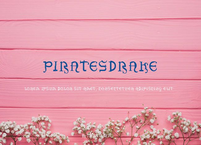 PiratesDrake example