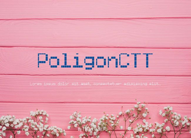 PoligonCTT example