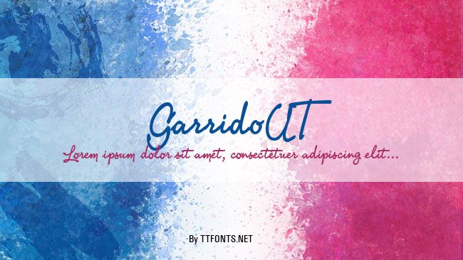 GarridoUT example