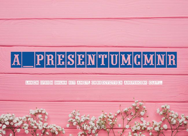a_PresentumCmNr example