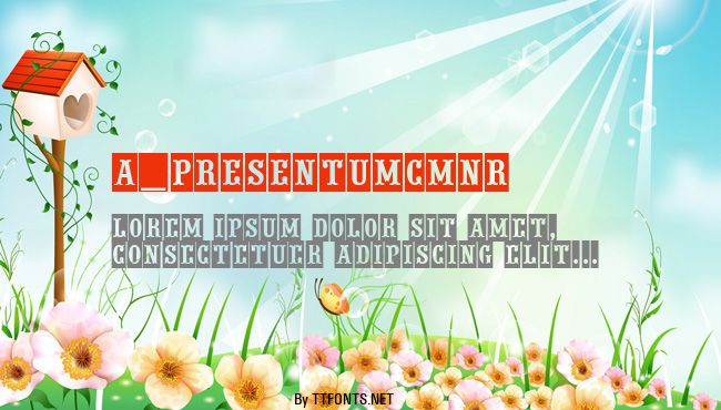 a_PresentumCmNr example