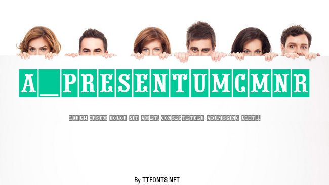 a_PresentumCmNr example