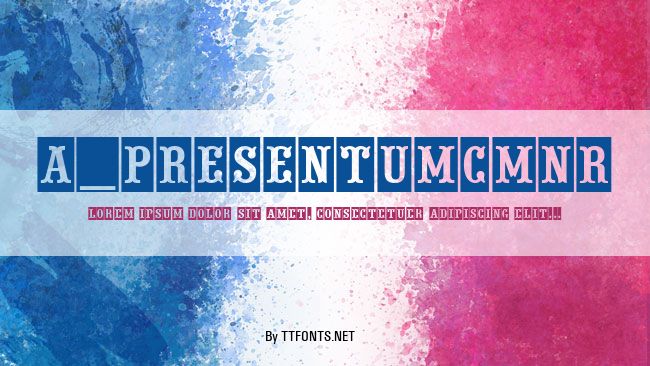 a_PresentumCmNr example