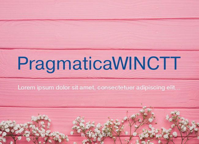 PragmaticaWINCTT example