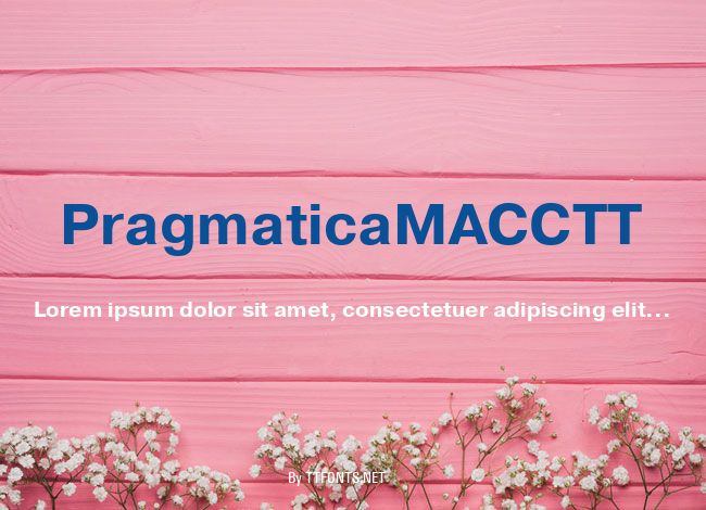 PragmaticaMACCTT example