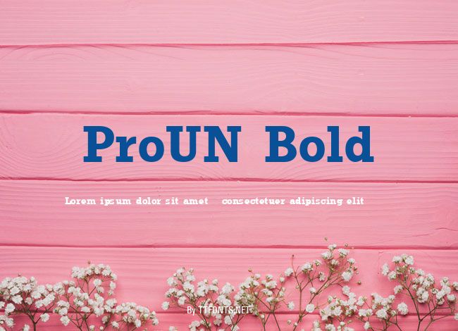 ProUN Bold example