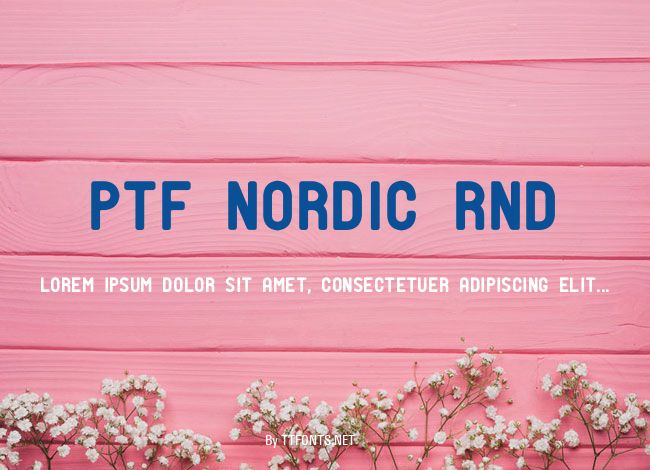 PTF NORDIC Rnd example