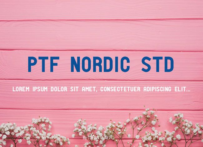 PTF NORDIC Std example