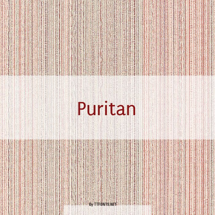 Puritan example