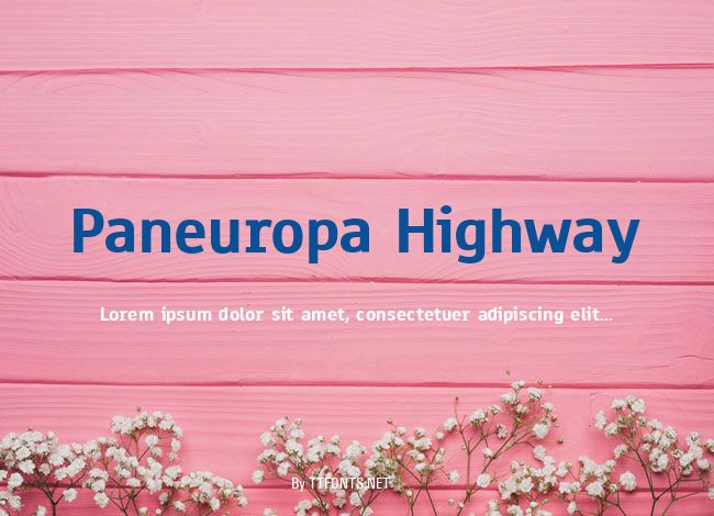 Paneuropa Highway example