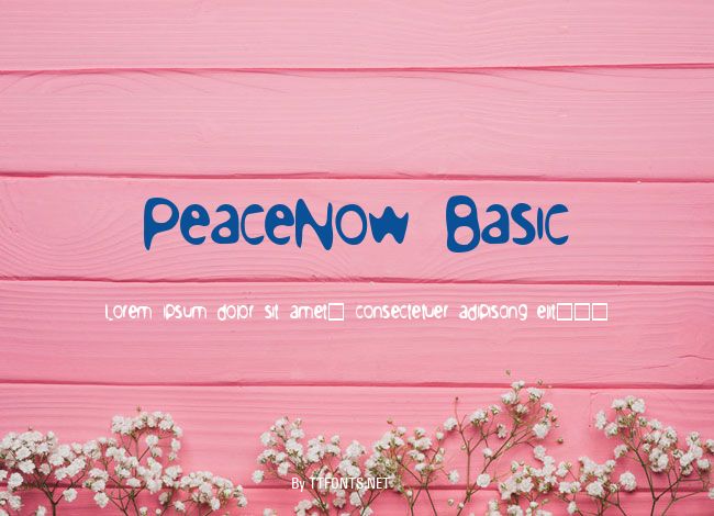 PeaceNow Basic example