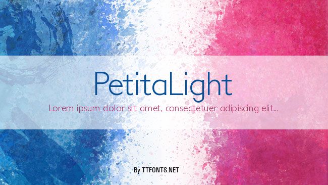 PetitaLight example