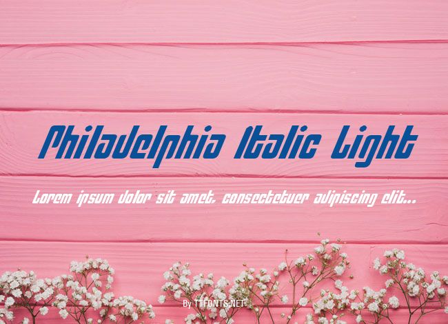 Philadelphia Italic Light example