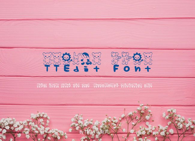 TTEdit Font example