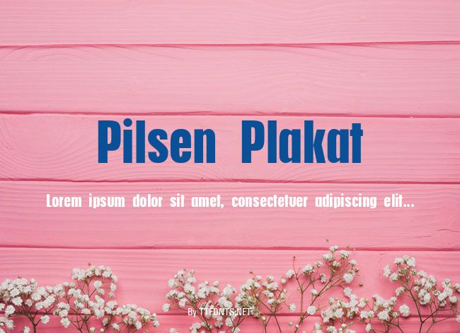 Pilsen Plakat example