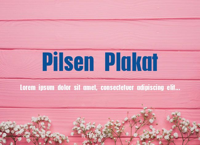 Pilsen Plakat example