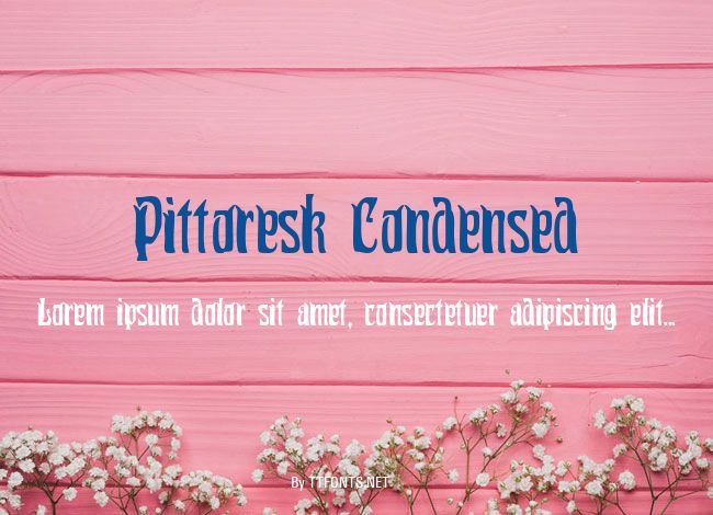 Pittoresk Condensed example
