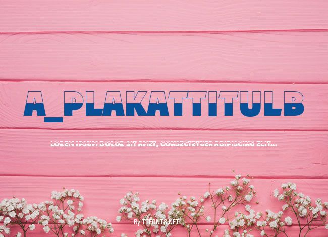 a_PlakatTitulB&W example