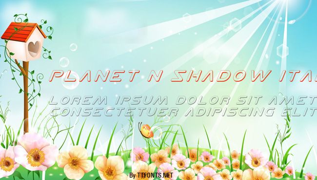 Planet N Shadow Italic example