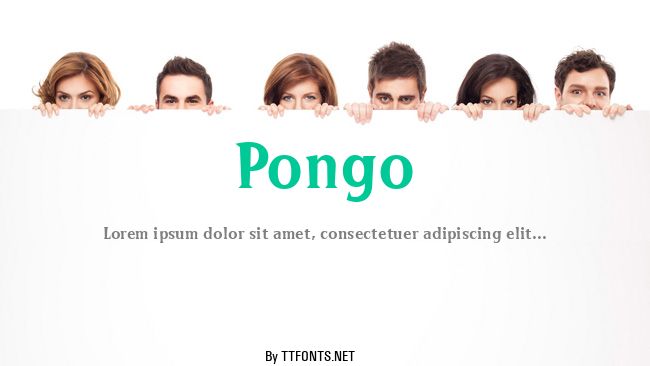 Pongo example