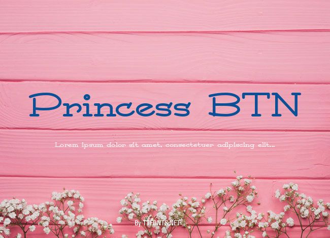 Princess BTN example