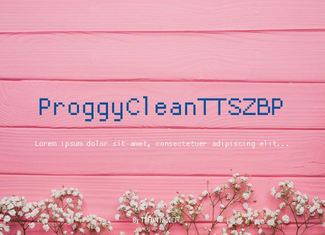 ProggyCleanTTSZBP example