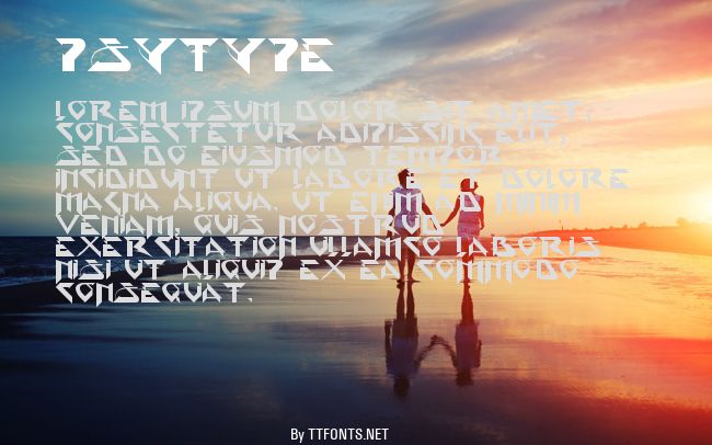 PsyType example
