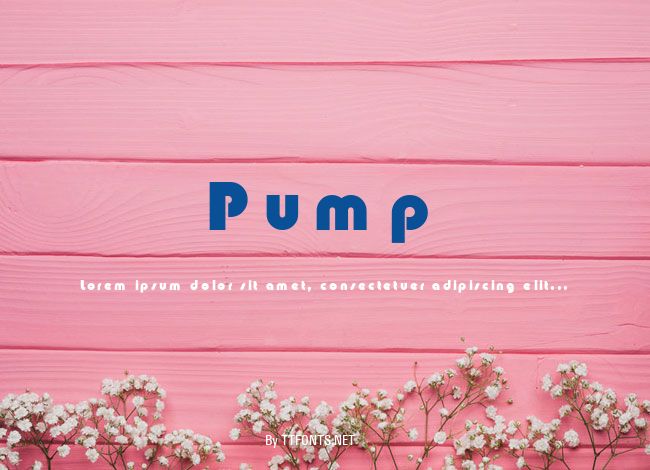 Pump example