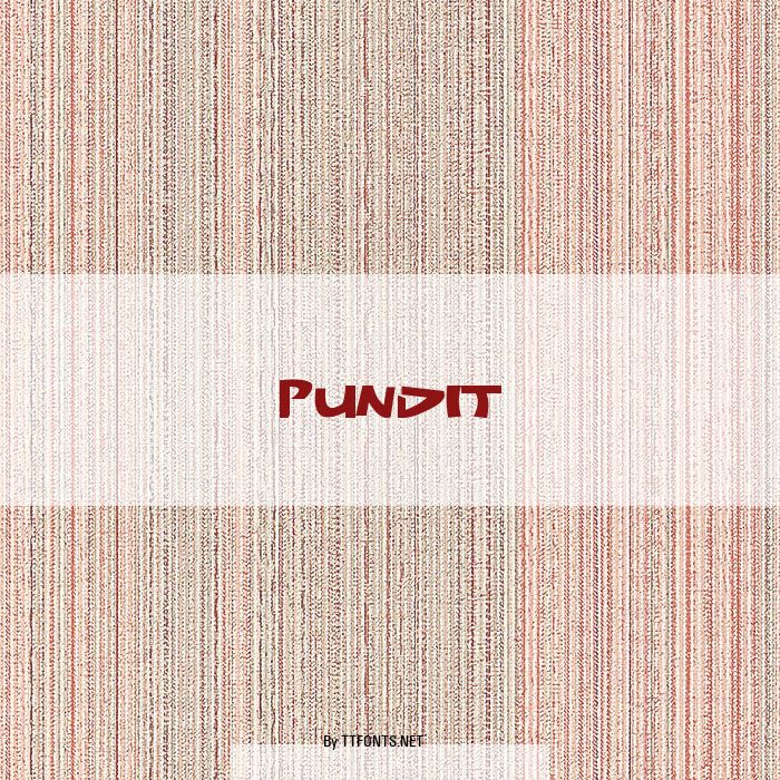 Pundit example