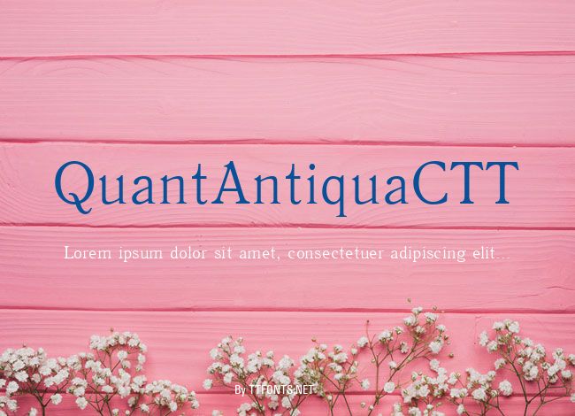 QuantAntiquaCTT example