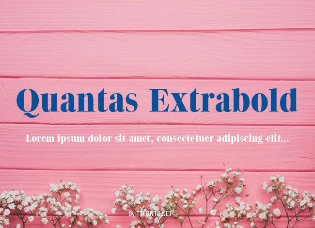 Quantas Extrabold example