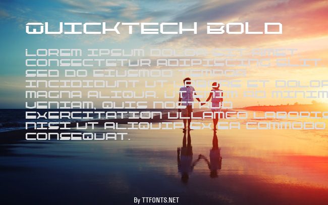 QuickTech Bold example