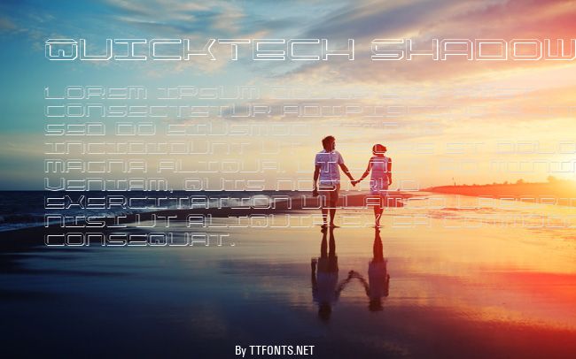 QuickTech Shadow example