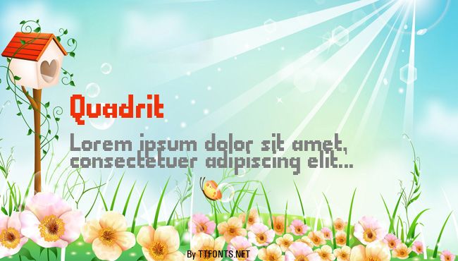 Quadrit example