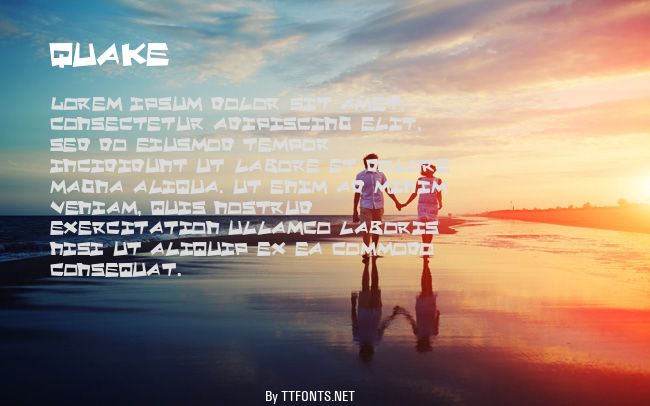 Quake & Shake Max example