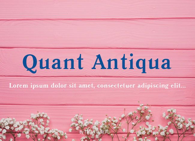 Quant Antiqua example