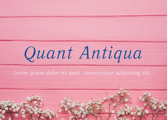 Quant Antiqua example