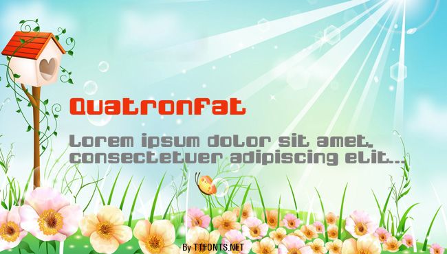 QuatronFat example