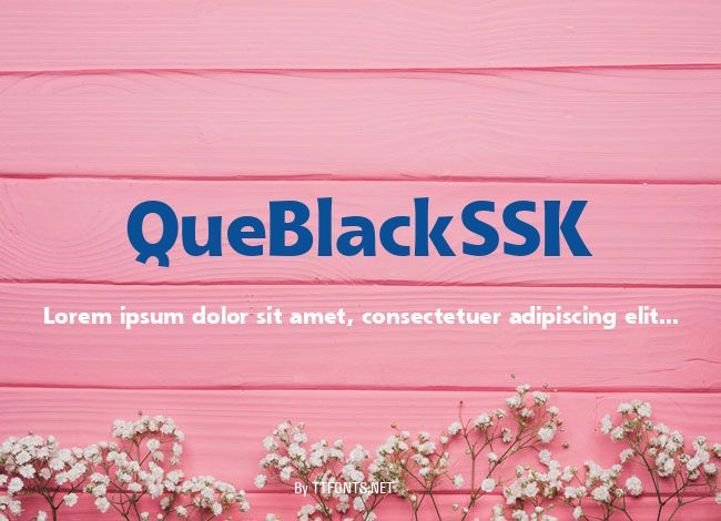 QueBlackSSK example