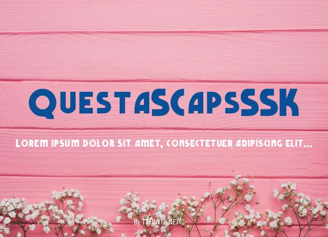 QuestaSCapsSSK example
