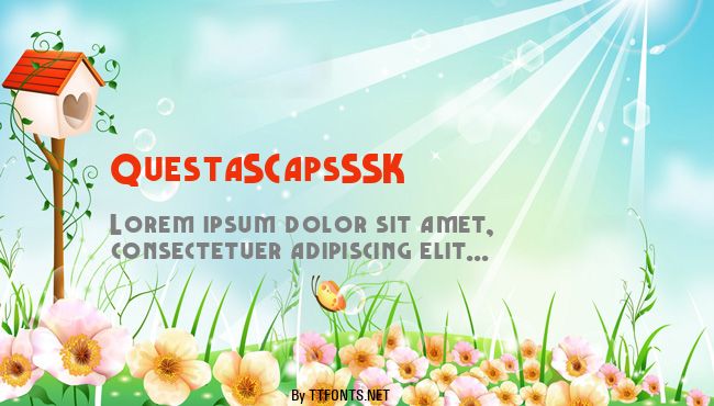QuestaSCapsSSK example