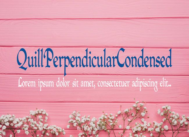 QuillPerpendicularCondensed example