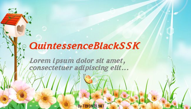 QuintessenceBlackSSK example