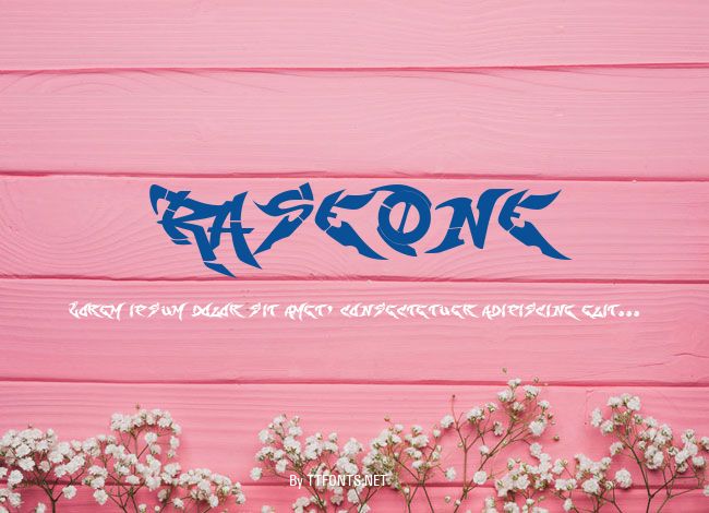 RaseOne example