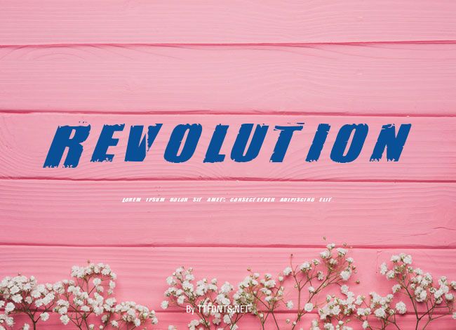 Revolution example